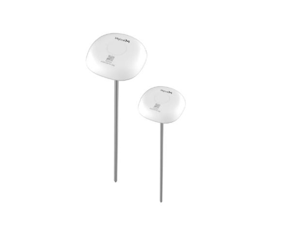 Milesight Insertion Temperature Sensor - 2 Pieces — image 1