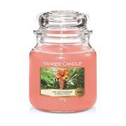 Yankee Candle Last Paradise Small Jar Retail Box No — image 1