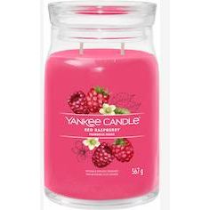 Yankee Red Raspberry Signature Large Jar Candle — image 1