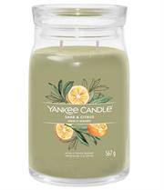Yankee Candle Sage & Citrus Medium Jar — image 1