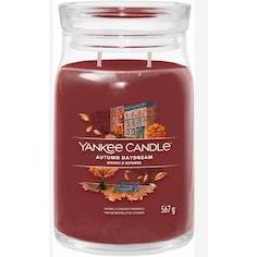 Yankee Autumn Daydream Signature Large Jar Candle — image 1