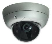 Intellinet PRO SERIES NETWORK HIGH RES Dome Camera — image 1