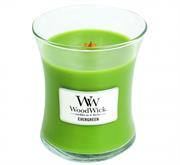 Woodwick Evergreen Candle Medium Jar Retail Box No warranty — image 1