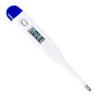 Casey Blue Electronic Thermometer — image 1