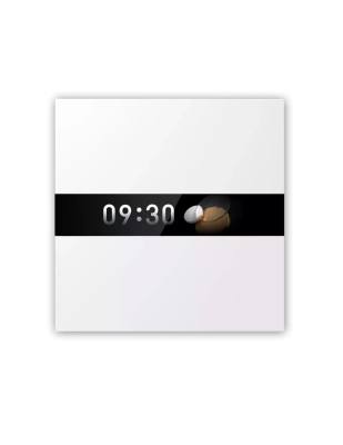 Aqara Display Switch V1 |WS-K02D