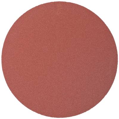 SANDING DISC PSA 125MM 120 GRIT NO HOLE 10/PK — image 1