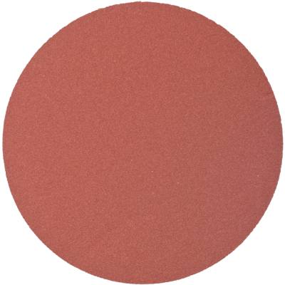 SANDING DISC PSA 125MM 180 GRIT NO HOLE 10/PK — image 1