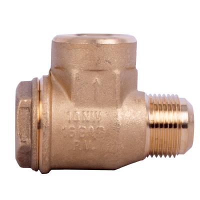 NON-RETURN VALVE 1'F - 1'M — image 1