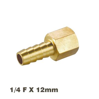 HOSE TAIL CONNECTOR BRASS 1/4F X 12MM — image 1