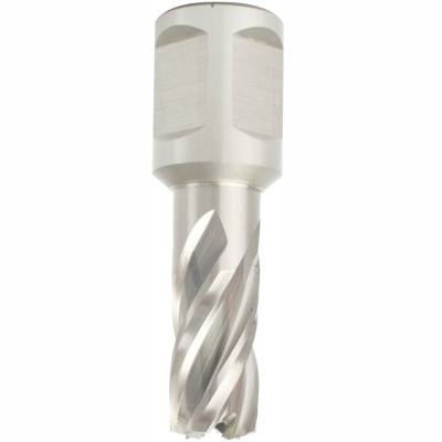 ANNULAR HOLE CUTTER HSS 13 X 30MM WELD SHANK 19.05MM