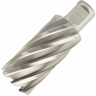 ANNULAR HOLE CUTTER HSS 31 X 55MM WELD SHANK 19.05MM — image 1