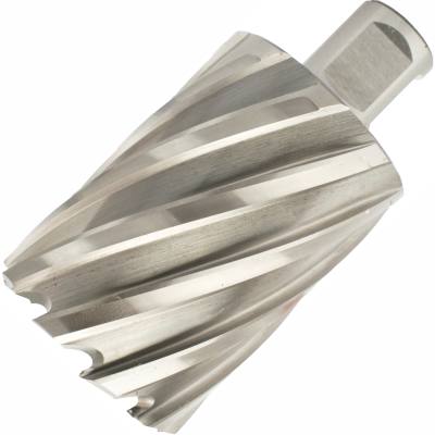 ANNULAR HOLE CUTTER HSS 46 X 55MM WELD SHANK 19.05MM — image 1